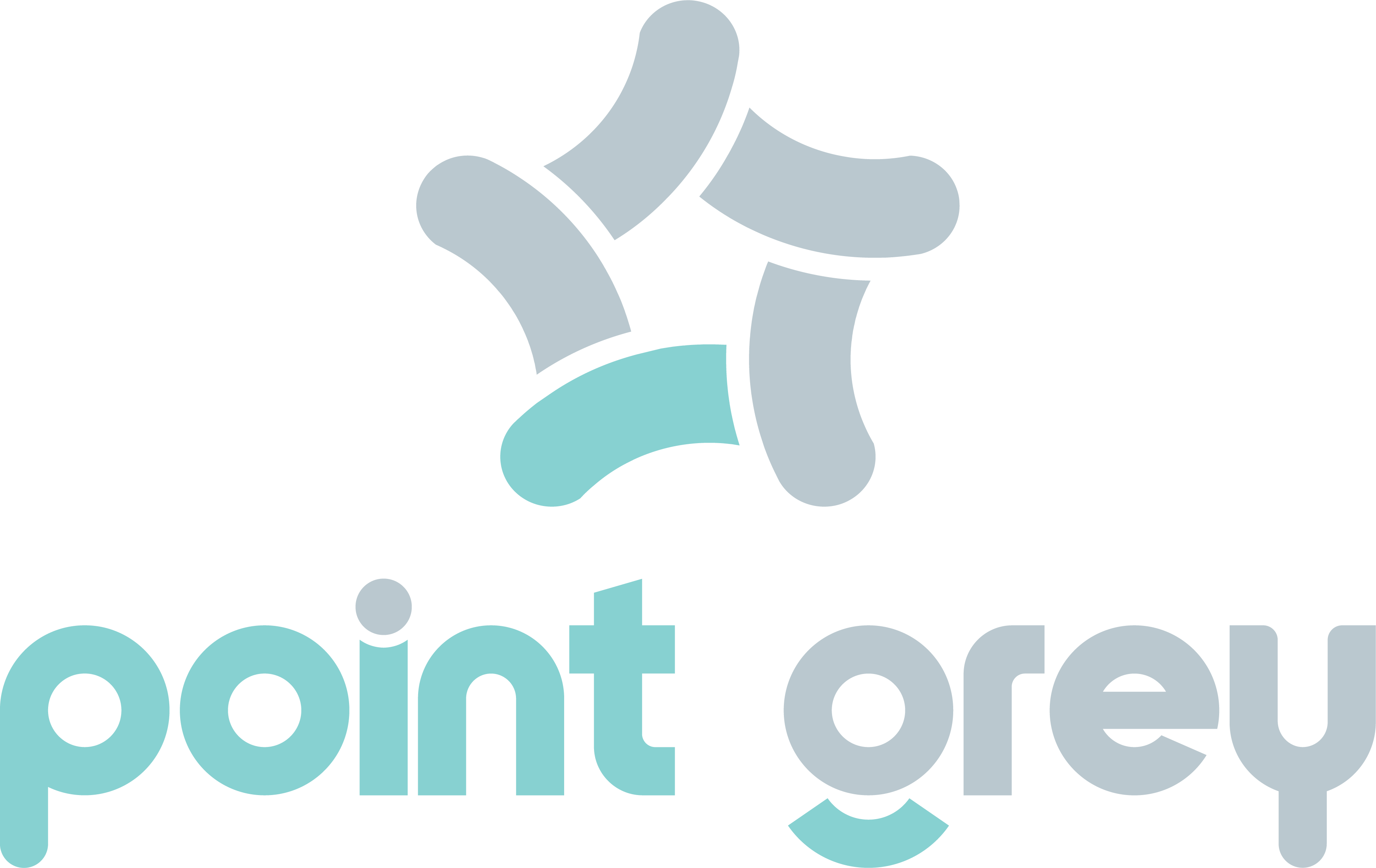 Logo Point Grey